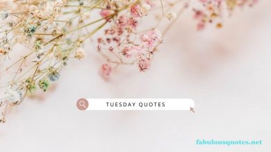 Tuesday Quotes positive, funny for work