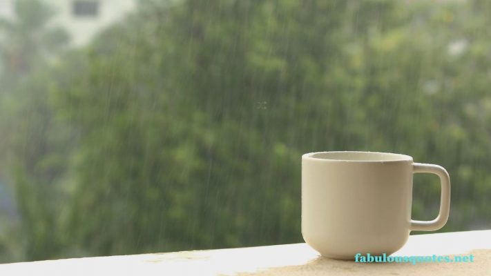 Top 40 Rainy Day Quotes Funny