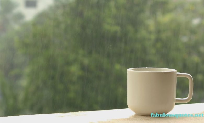 Top 40 Rainy Day Quotes Funny