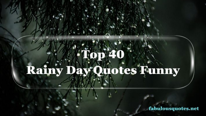 Top 40 Rainy Day Quotes Funny