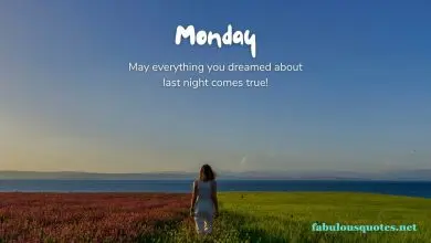 100+ Monday Motivation Quotes