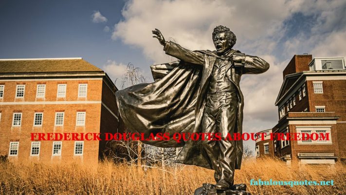 Frederick Douglass Quotes about freedom