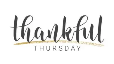 80+ Thankful Thursday Quotes