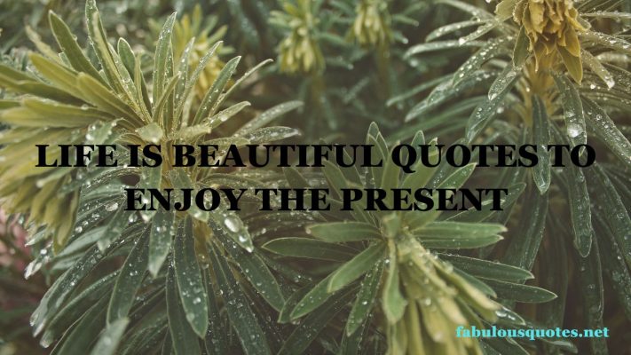 Life Is Beautiful Quotes to Enjoy The Present