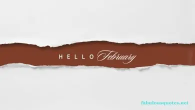 100 Hello February Quotes Impress