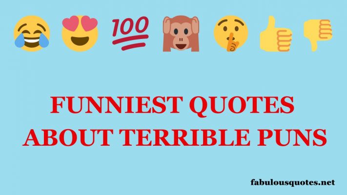 Funniest Quotes About Terrible Puns