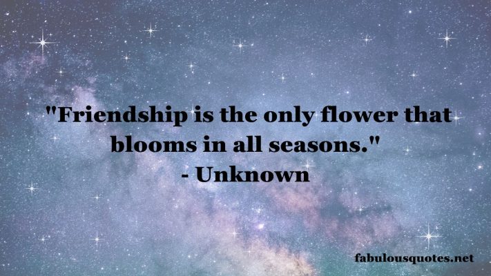 25 Wise Quotes About Friendship: Timeless Wisdom on Friendship