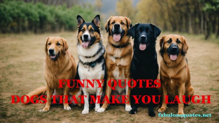Funny Quotes Dogs That Make You Laugh