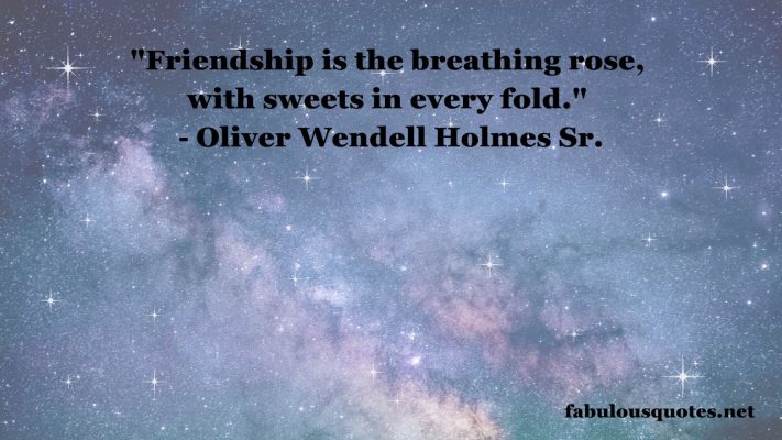 25 Wise Quotes About Friendship: Timeless Wisdom on Friendship