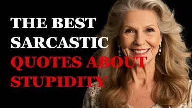 They Say Wisdom Comes With Age… But So Does the Best Sarcasm on Stupidity